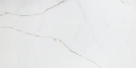 Плитка керамогранитная AZUVI LANCE 60x120 polish Navarti (NA01999913P)