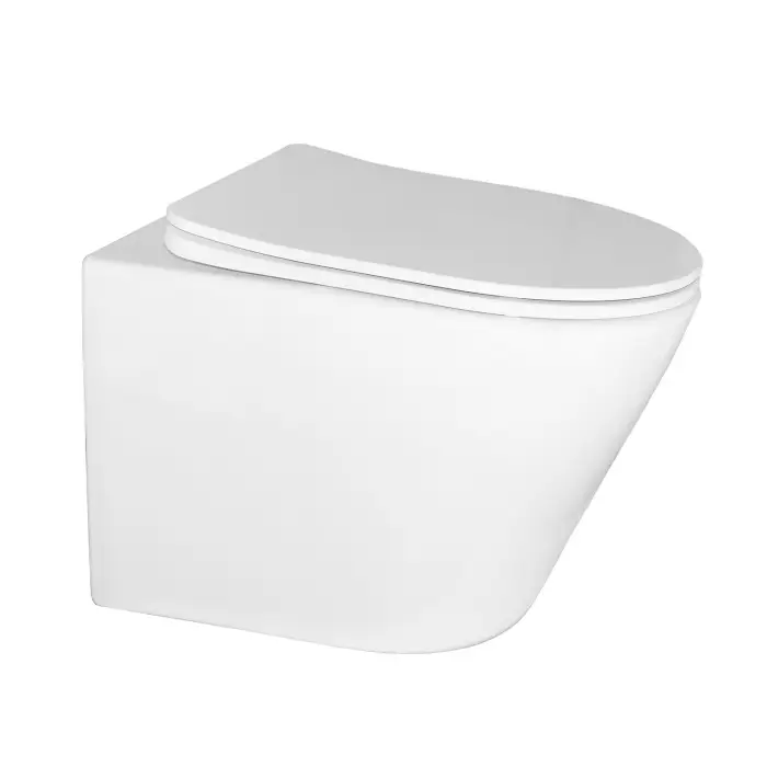 Унитаз подвесной Azario Teramo 480х365х360 безободковый, в комплекте с сидением микролифт, белый (AZ-0053 SP)