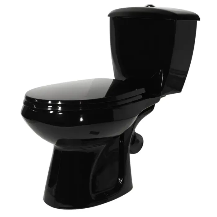 Унитаз-компакт Элисса Стандарт, с сиденьем, черный (43374130202)