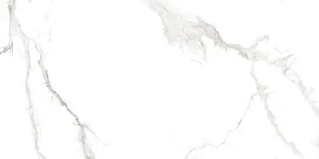 Плитка керамогранитная AZARIO MARTIN GREY 60х120 Glossy (F4110821124G)