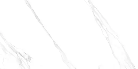 OCTAVIANO SATVARIO_P2