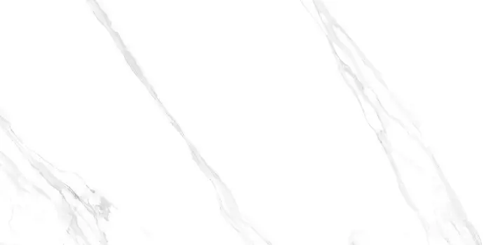 OCTAVIANO SATVARIO_P2