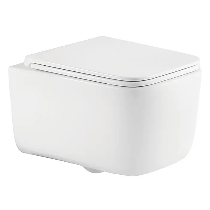 Унитаз подвесной Azario BACIO 340х485х350 безободковый, система смыва "Скрытое Торнадо", с быстросъемным сиденьем "Микролифт" (AZ-5103T-WHT)