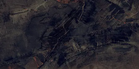 P231123003HG FOSSIL AGATE (2)