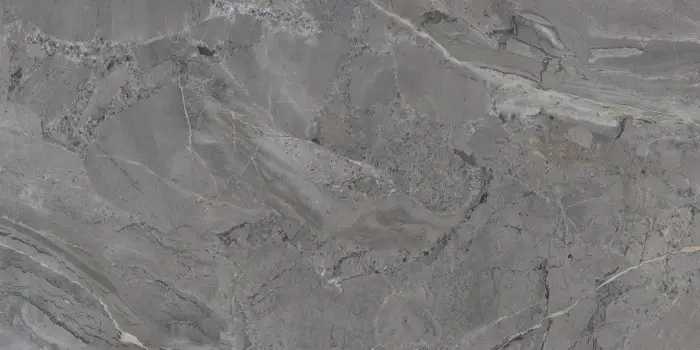 P231123005G ELEGANT GRIS (3)