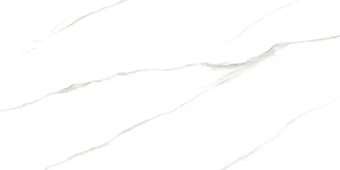 Плитка керамогранитная AZARIO Свисс Каррара 60х120 Glossy 3 шт. в упаковке (GBT750231)