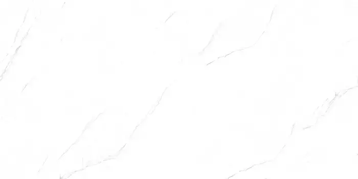 P231123009M VALENCIA WHITE_F2 копия