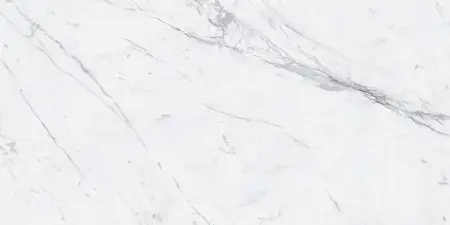 P231123006G STATUARIO EXTRA  (4)